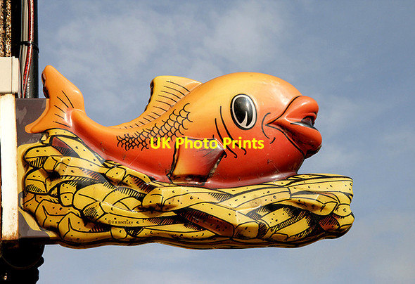 Photo 6"x4" A colourful fish in Selkirk Selkirk c2011