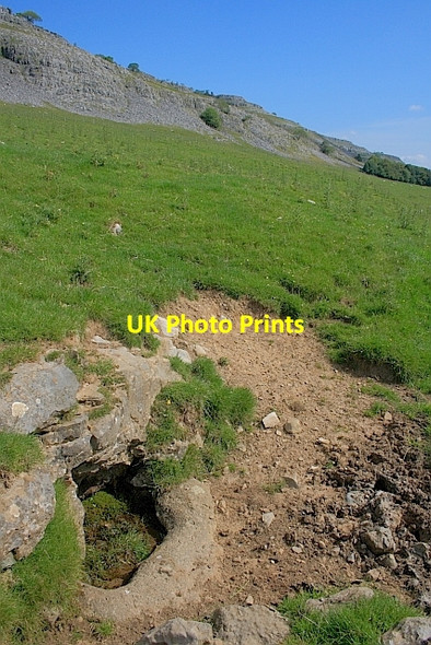 Photo 6"x4" Spring, below Twisleton Scar Ingleton\/SD6973 c2011
