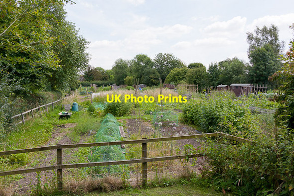 Photo 6"x4" Allotments off High Street, East Meon East Meon c2011