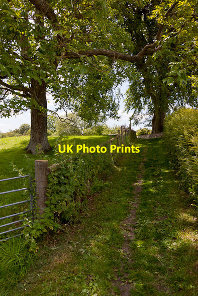 Photo 6"x4" Footpath south of Frogmore Mill East Meon c2011