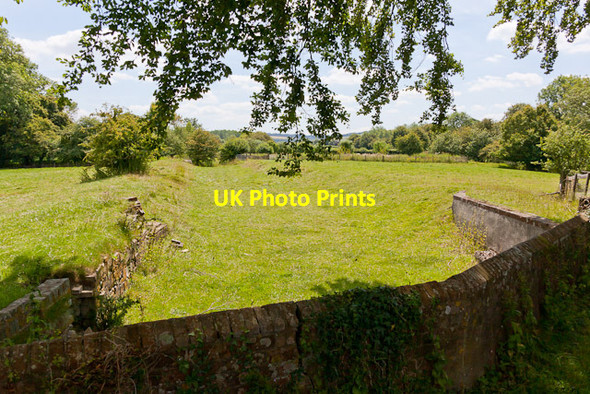 Photo 6"x4" Ditch south of Frogmore Mill East Meon c2011