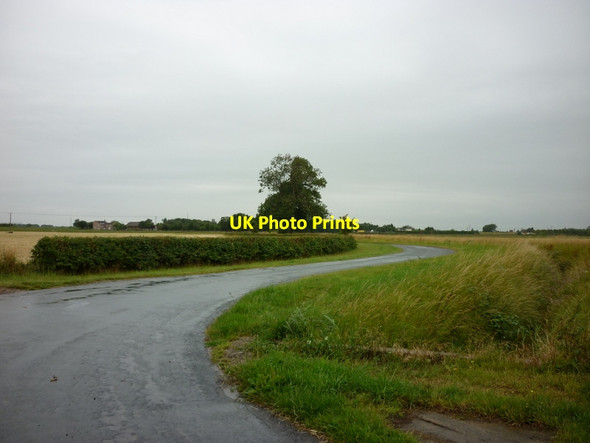 Photo 6"x4" Newhay Lane near Hemingbrough Newhay\/SE6630 c2011