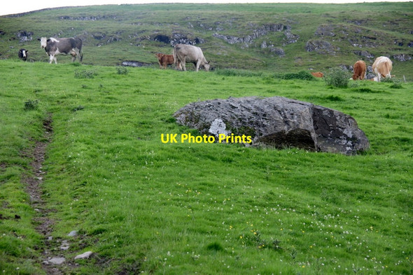 Photo 6"x4" Cattle on a hillside at Craggie, near Kirkmichael Kirkmichael\/NO0860 c2011