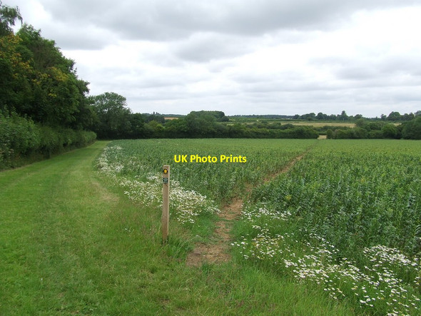 Photo 6"x4" Footpath And Field Kirtling c2011
