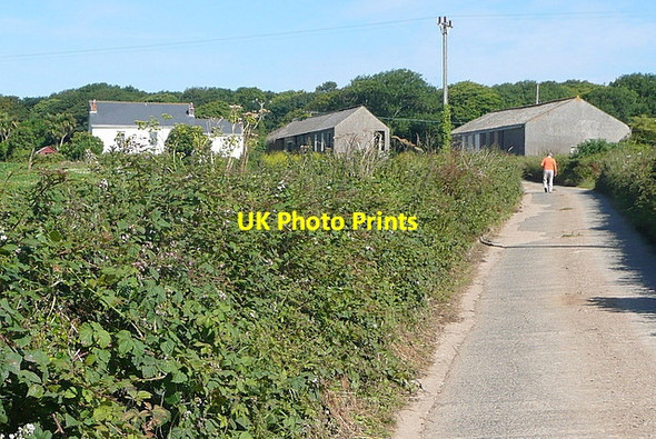 Photo 6"x4" Track to Rose-an-Grouse Farm Canonstown c2011