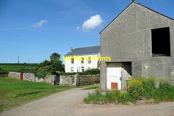 Photo 6"x4" Rose-an-Grouse Farm Canonstown c2011