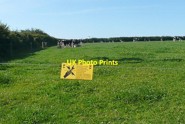 Photo 6"x4" Pasture at Rose-an-Grouse Canonstown c2011