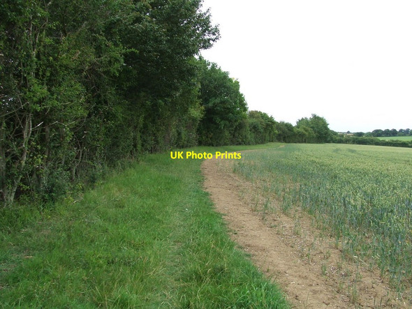 Photo 6"x4" Field Boundary And Footpath Kirtling Green c2011