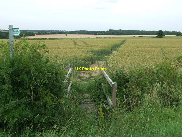 Photo 6"x4" Footpath And Bridge Mill End\/TL6956 c2011