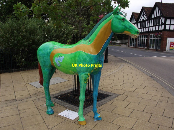 Photo 6"x4" Horse About Newmarket - Nectar Newmarket\/TL6463 c2011