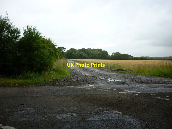 Photo 6"x4" A farm track across Osgodby Common Osgodby Common c2011