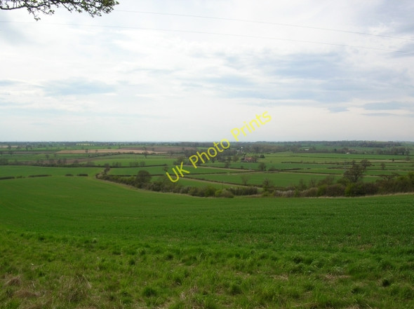 Photo 6"x4" Across Whitwell Hill Crambe c2008