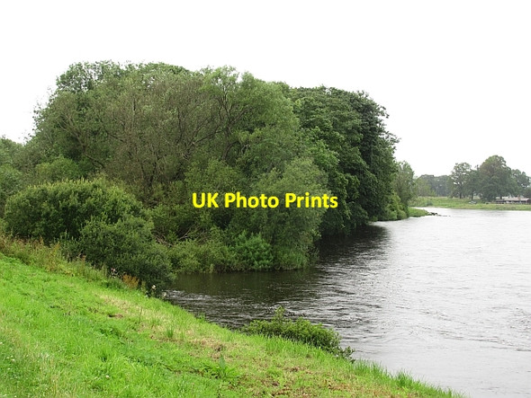 Photo 6"x4" Woody Islands Muirton\/NO1025 c2011