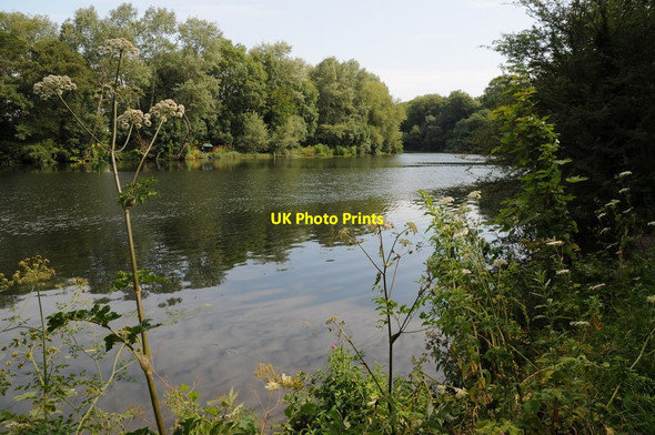 Photo 6"x4" River Thames near Sonning Sonning c2011