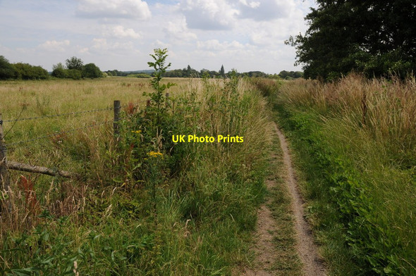 Photo 6"x4" The Thames Path near Sonning Charvil c2011