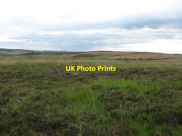 Photo 6"x4" Coldingham Moor Grantshouse c2011