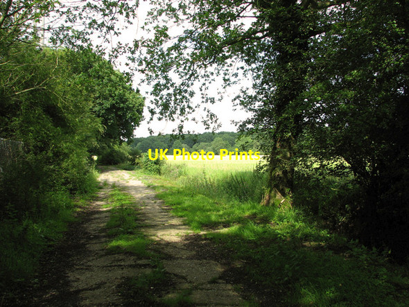 Photo 6"x4" Bridleway Past Upper Holton Upper Holton c2011