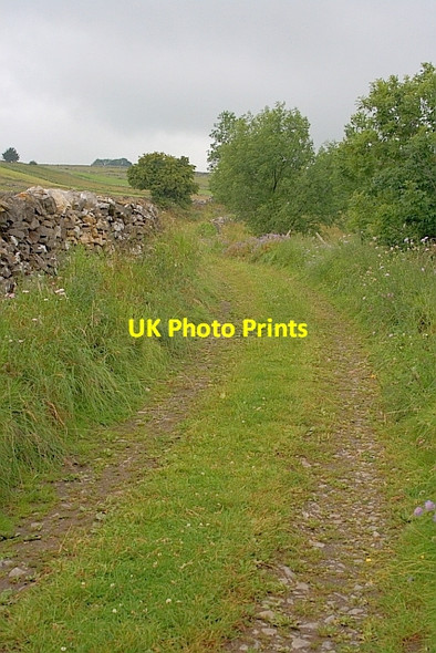 Photo 6"x4" Track to Taddington Brushfield c2011