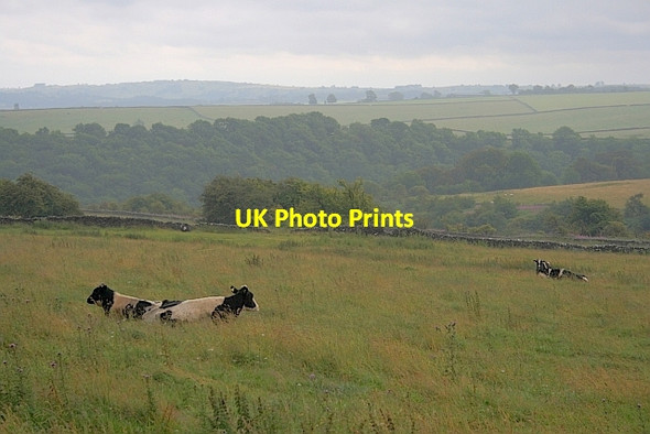 Photo 6"x4" Over Haddon Fields Bakewell c2011