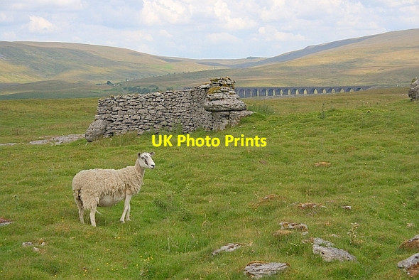Photo 6"x4" Bield, Sleights Pasture Chapel-le-Dale c2011