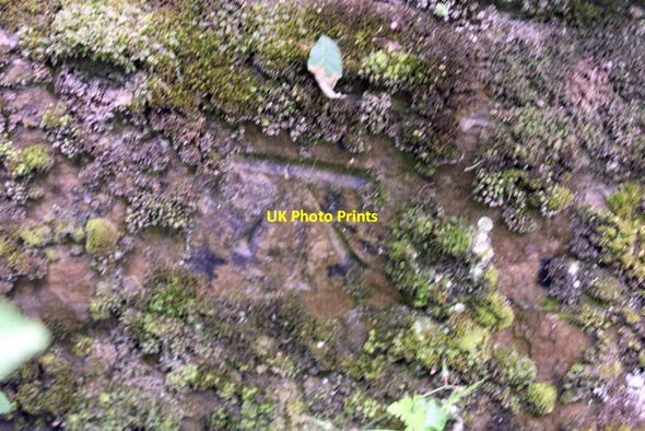 Photo 6"x4" Benchmark on disused railway bridge abutment Aysgarth c2011
