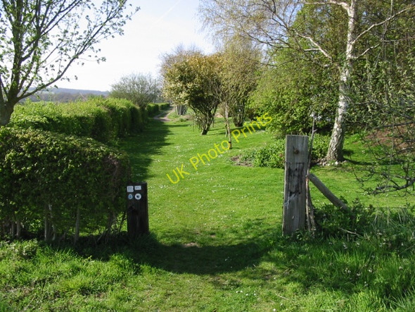 Photo 6"x4" Looking NW along the Stour Valley Walk Crundale\/TR0749 c2008