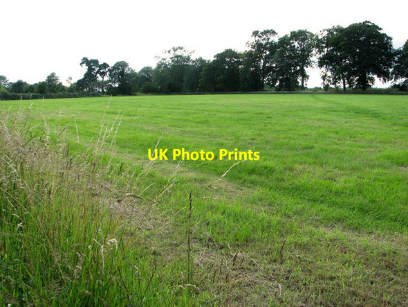 Photo 6"x4" Path to Spexhall Hall Stone Street\/TM3882 c2011