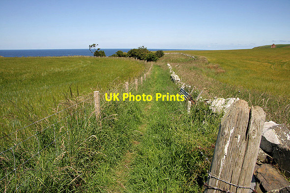 Photo 6"x4" A footpath near Pease Bay Old Cambus c2011