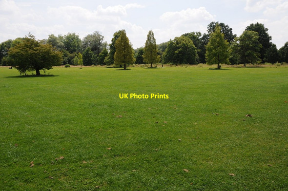 Photo 6"x4" Marsh Meadow, Henley-on-Thames Henley-on-Thames c2011
