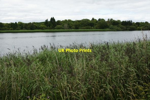 Photo 6"x4" Loch of Forfar Forfar c2011