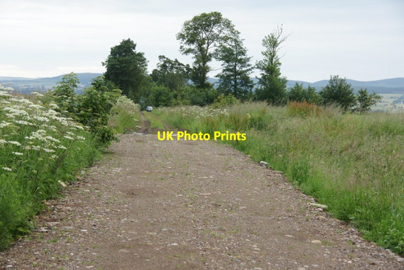 Photo 6"x4" Track on to Egno Moss Craigton\/NO3250 c2011