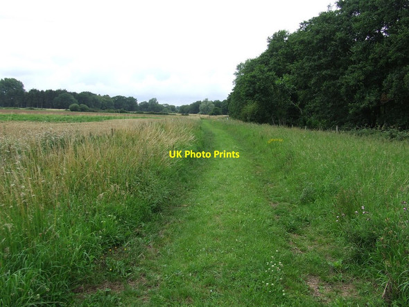 Photo 6"x4" Footpath Looking West Stonebridge\/TL9290 c2011