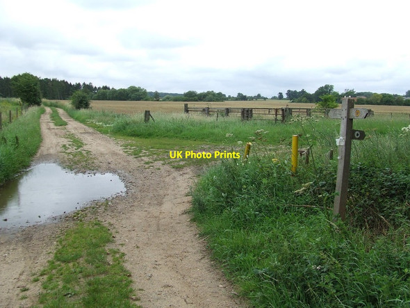Photo 6"x4" Track Junction Illington c2011