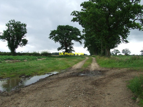 Photo 6"x4" Footpath To Brickkiln Farm Great Hockham c2011