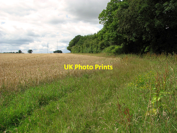 Photo 6"x4" View along a field boundary by Grove Farm House, Fundenhall Ashwellthorpe c2011