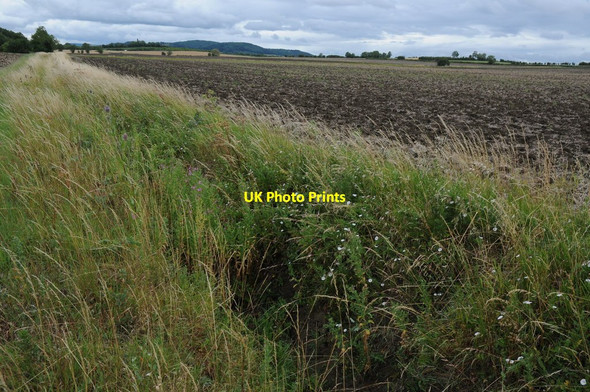 Photo 6"x4" Arable land near Hinton on the Green Hinton on the Green c2011