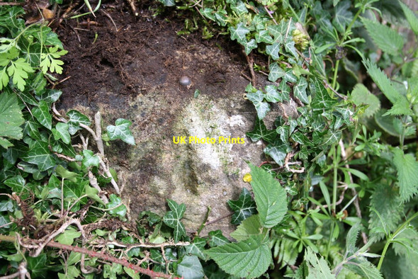 Photo 6"x4" Benchmark on abutment wall of railway bridge west of Redmire Station Redmire\/SE0491 c2011