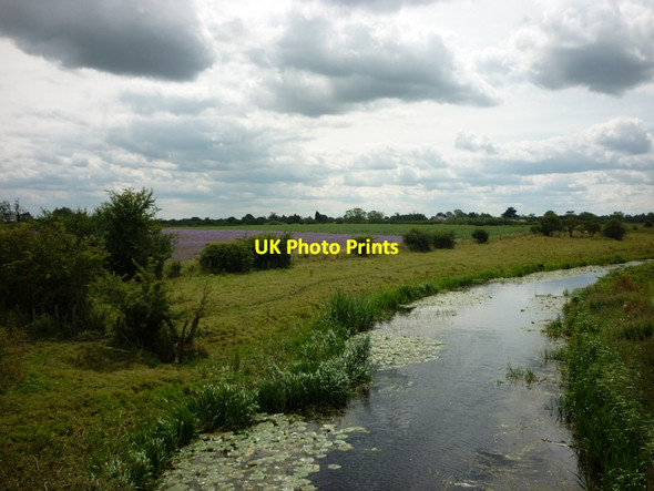 Photo 6"x4" Pocklington canal from Hagg Bridge Storwood c2011