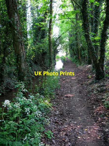 Photo 6"x4" Path and stream from Little Clanfield towards Grafton Little Clanfield c2011