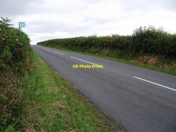 Photo 6"x4" A common sight Llangynin c2011