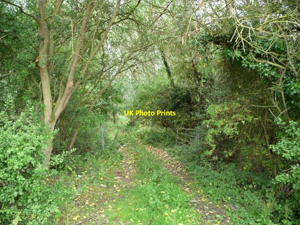 Photo 6"x4" Gated track into the woods Wormington c2011