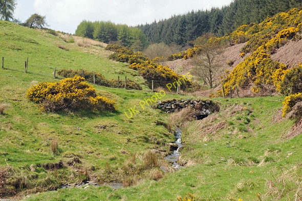 Photo 6"x4" Bridge over Burn on Track to Wester Clow Path of Condie c2008
