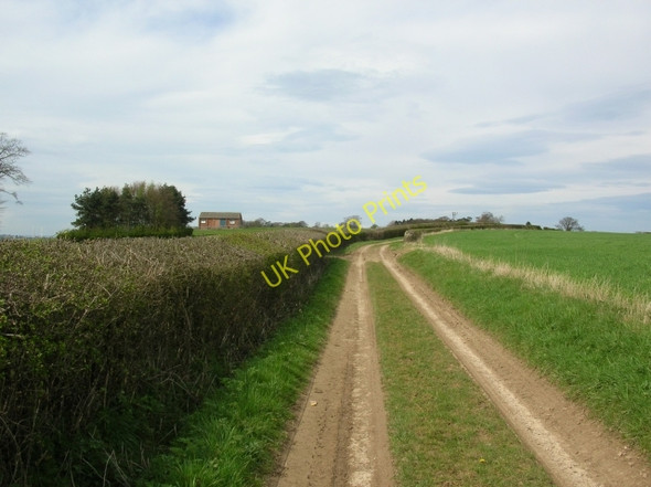 Photo 6"x4" Track to A64 on Whitwell Hill Crambe c2008