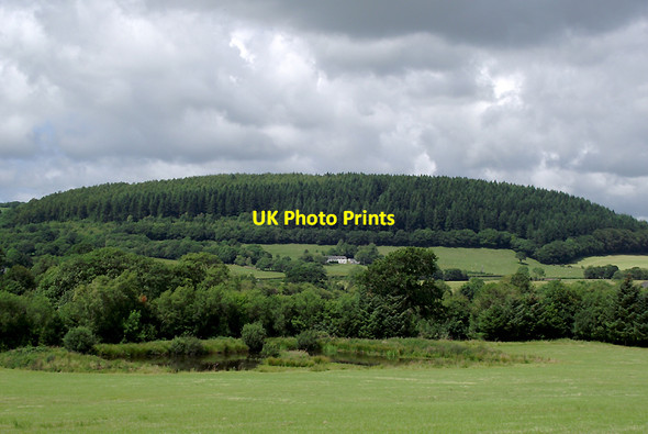 Photo 6"x4" Farmland and forest near Llangybi Llanfair Clydogau c2011