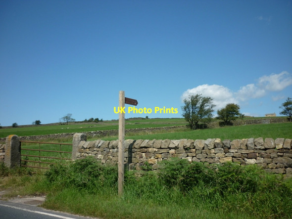 Photo 6"x4" A footpath to Cow Close Farm Hartwith c2011