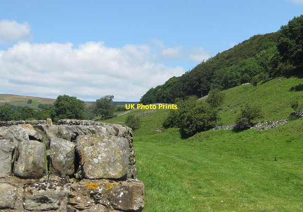 Photo 6"x4" Footpath to Scar House, Langthwaite Arkle Town c2011