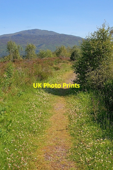 Photo 6"x4" Path to the Viewpoint Milton\/NN5001 c2011
