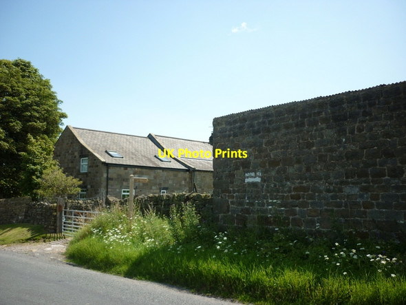 Photo 6"x4" A bridleway to Rabbit Hill Eavestone c2011