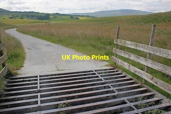 Photo 6"x4" Cattle Grid Selside\/SD7875 c2011