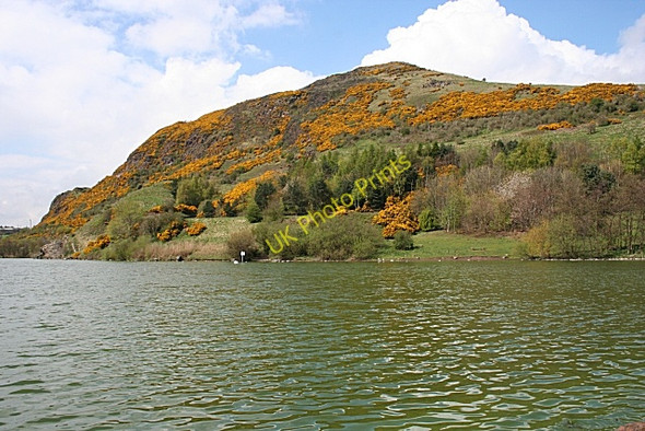 Photo 6"x4" Duddingston Loch Edinburgh c2008